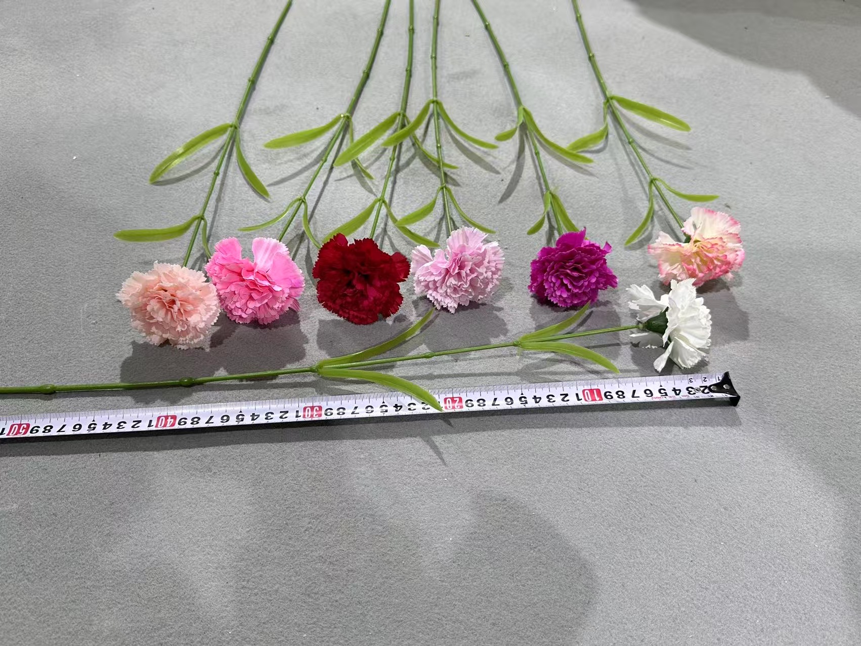 ZG-37 Long single stem carnation