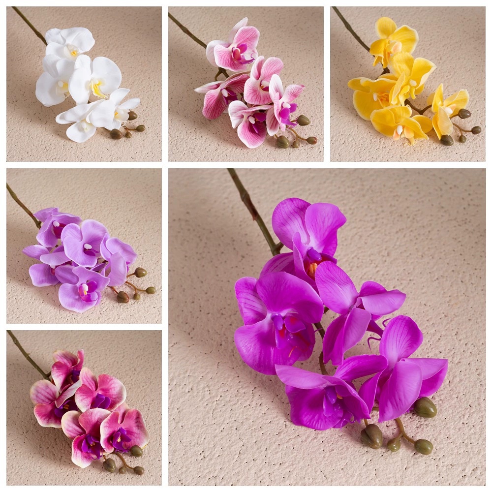 DYP-03   58cm 5heads latex real touch Phalaenopsis Orchid