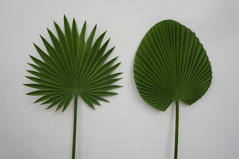 QMG-20 High Quality PU Real Touch Simulated Leaf Fan Green Plant
