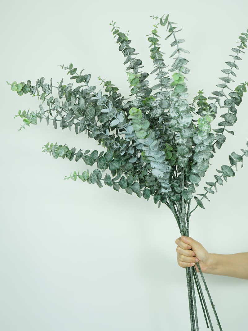 QMG-14 5/3 branches soft glue Money Leaf Frost Eucalyptus 