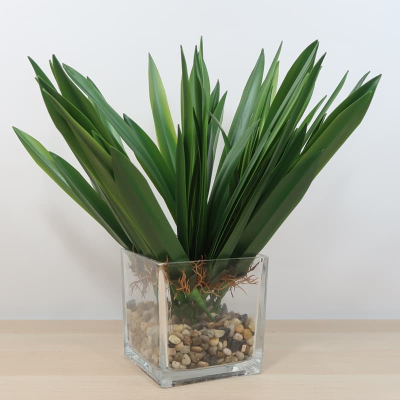 QM-09 42cm latex real touch Phalaenopsis Orchid leaves