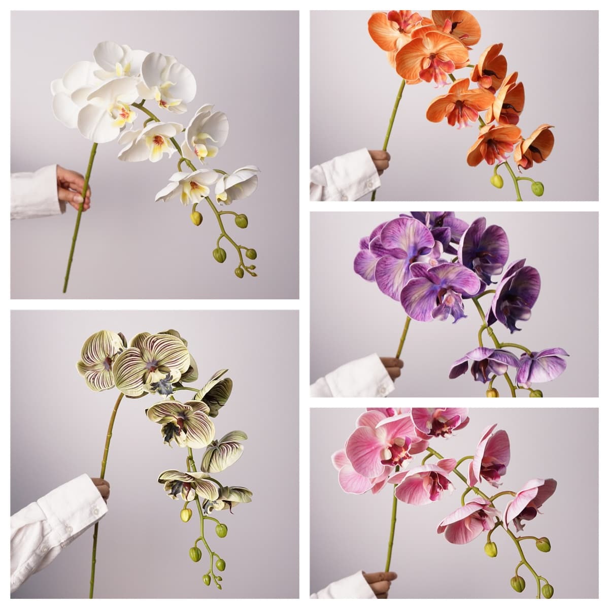 QM-10 3D printing EVA 86cm 8heads Phalaenopsis Orchid 