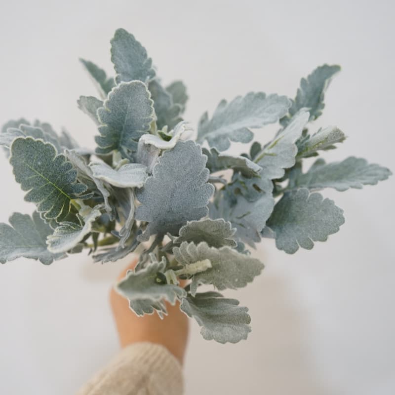QMG-06  35cm artificial leaves for horticulture decoration