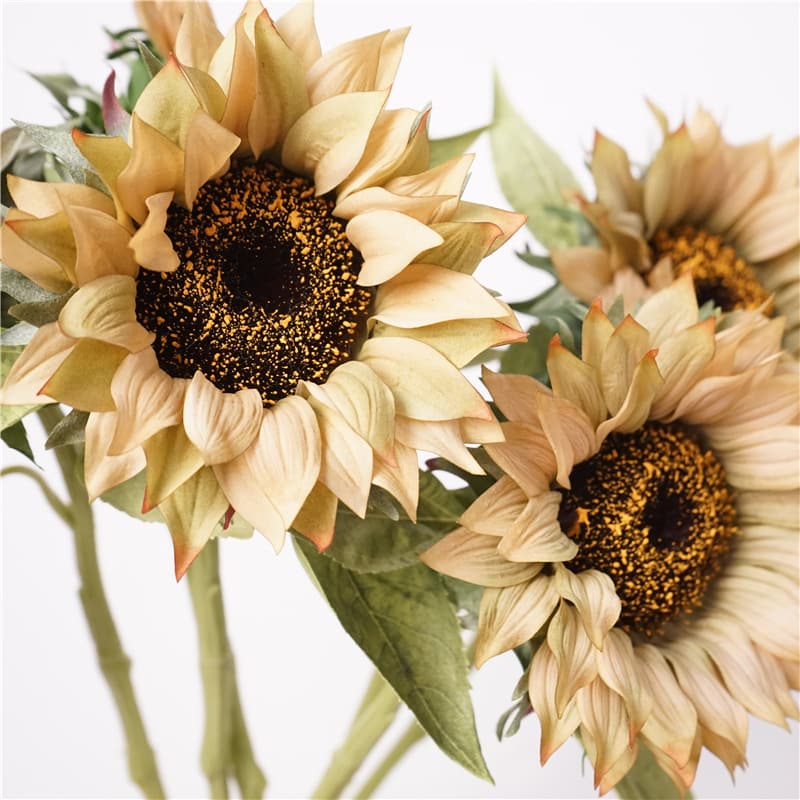QM-20  70cm moisturizing real touch sunflower Diameter: 15cm