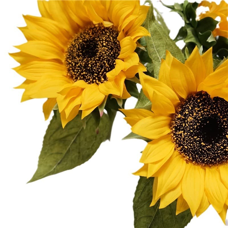 QM-17  70cm moisturizing real touch sunflower Diameter: 15cm