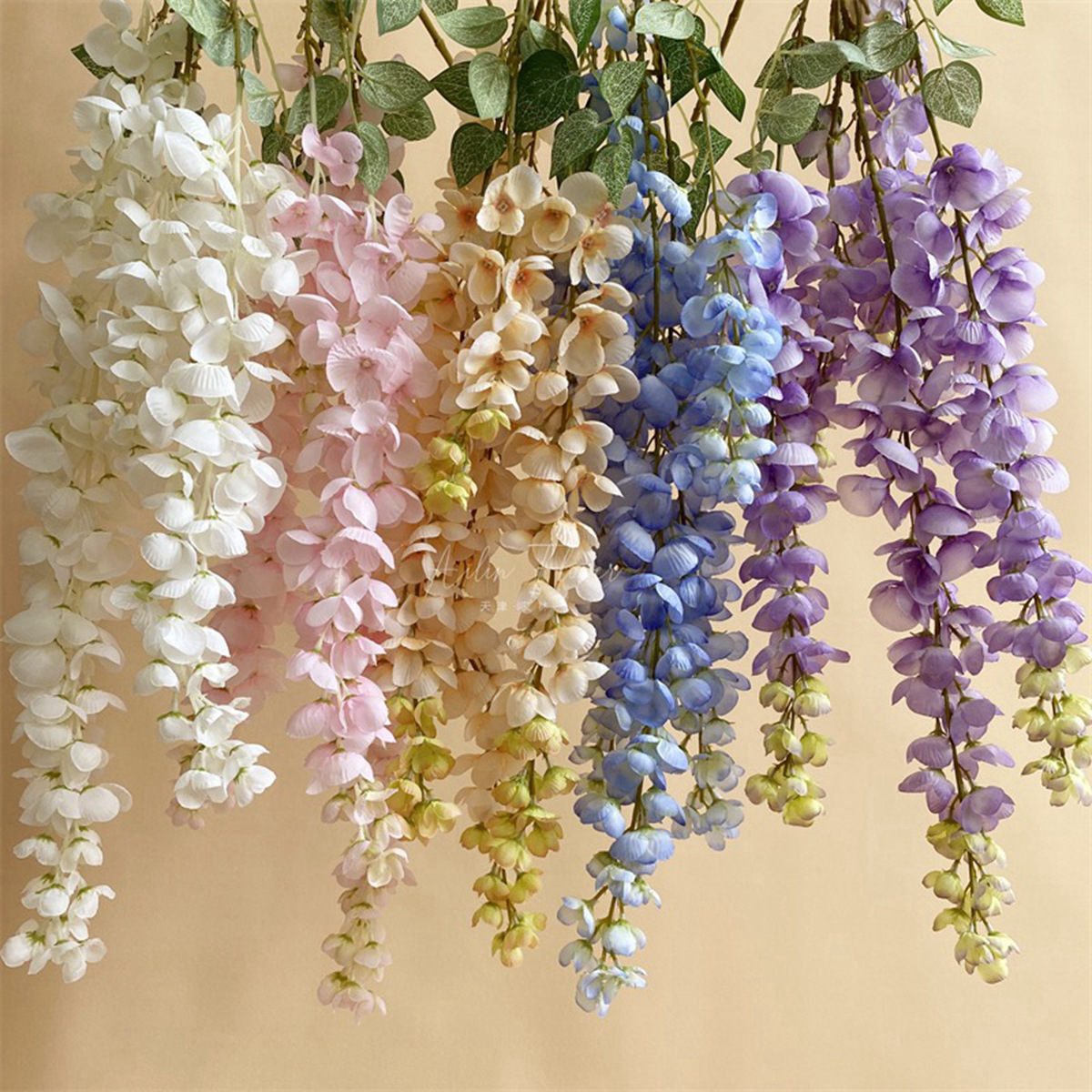 W-05 110cm Abler's Wisteria