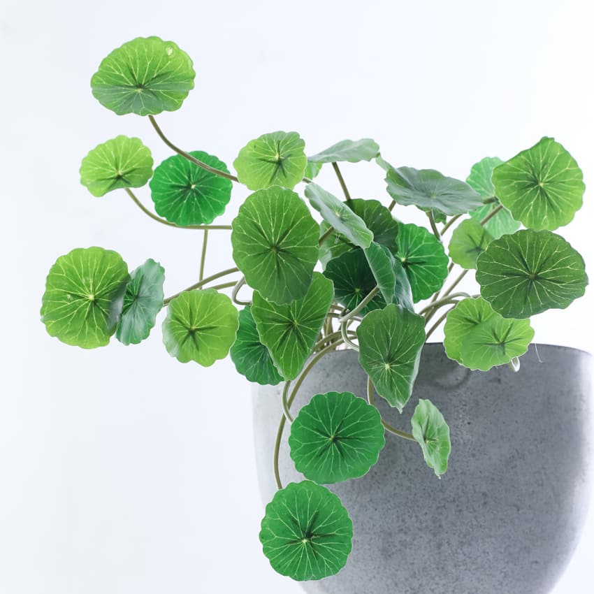 HA-17 37cm China Wholesale Artificial Plants Branch Leaves Gold Money Leaf Accessories Table Vase Decoration for Wedding Home