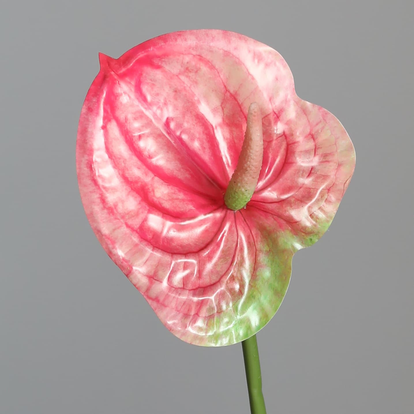 HA-42  Real Touch Anthurium Flowers 3d Anthurium for Home Decoration