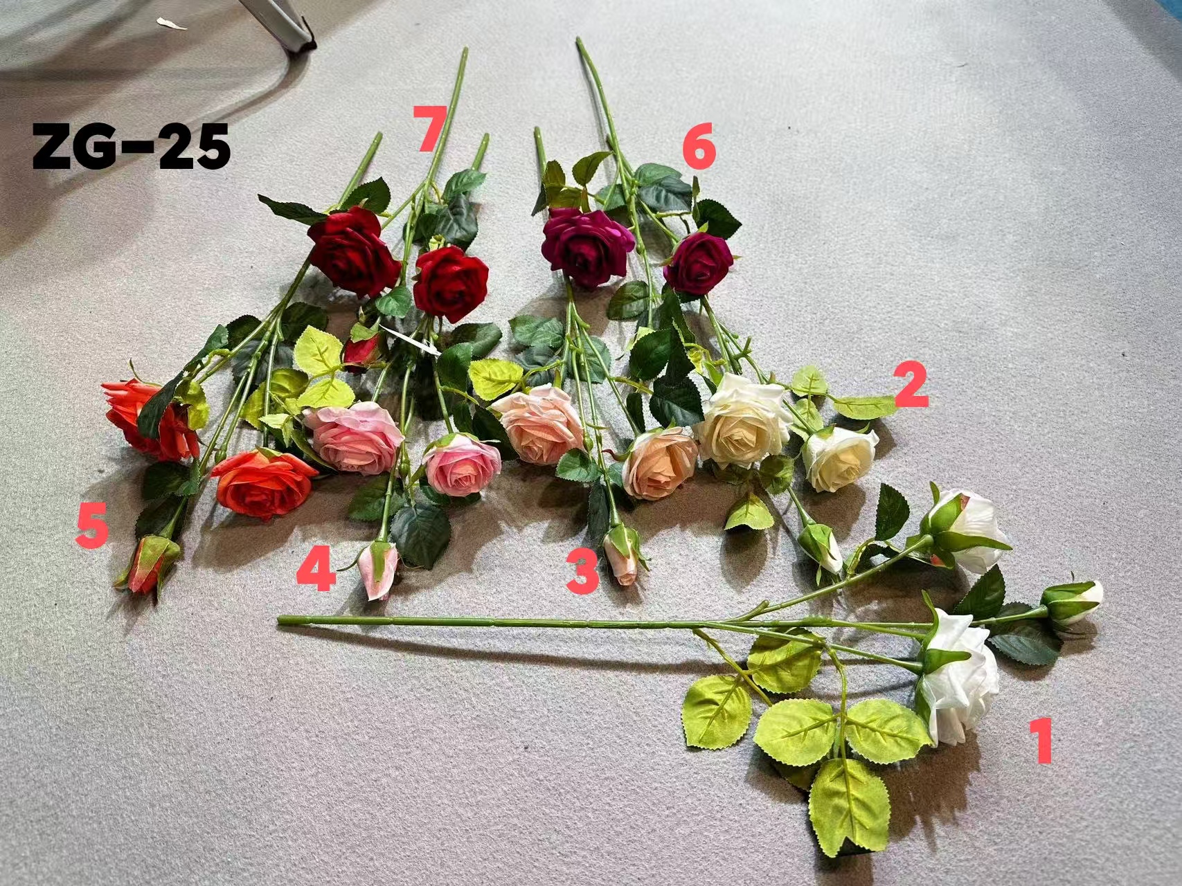 72ed64abb1ffb60cc00087472fab788.jpg